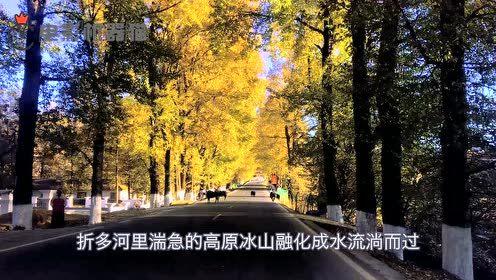 娱乐吃瓜拍摄地