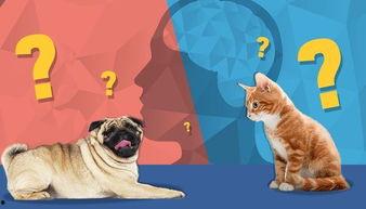 娱乐吃瓜汪星人是谁的小说