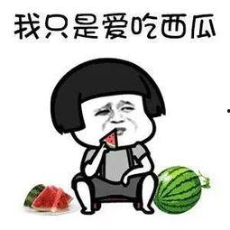 娱乐吃瓜梗,吃瓜群众必备的瓜田秘闻