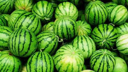 娱乐公司工作吃瓜,揭秘娱乐公司工作日常的吃瓜瞬间